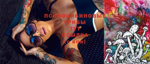 сатива Саяногорск