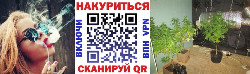 купить наркотики сайты  Карабаново  Конопля планчик 